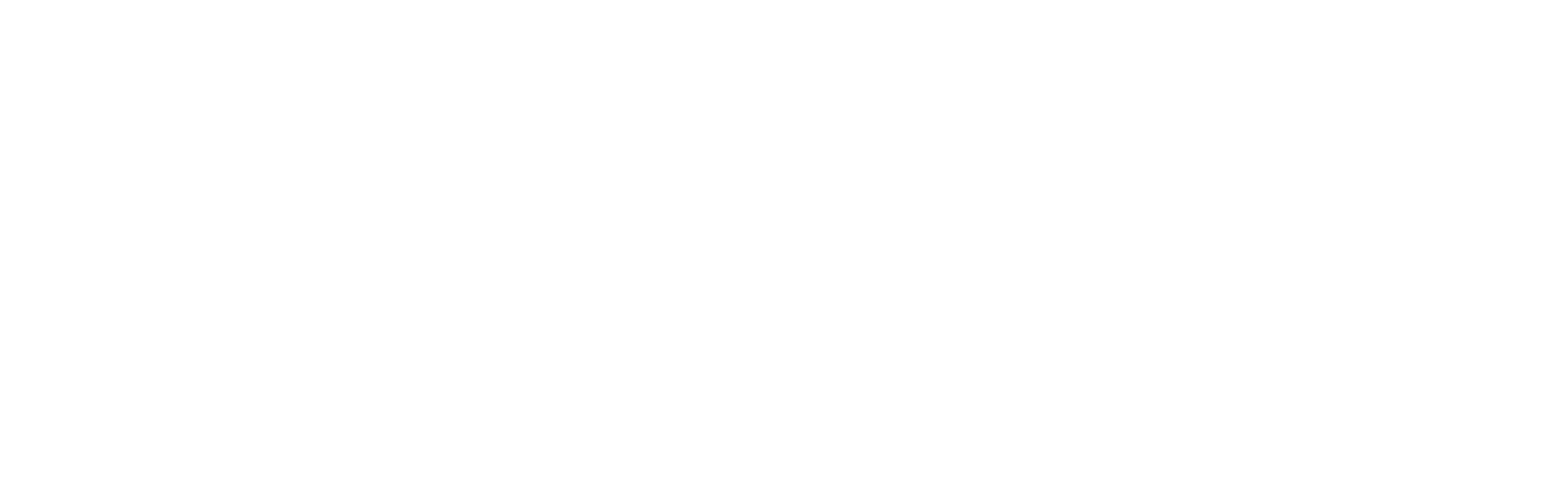 acef logo blanc
